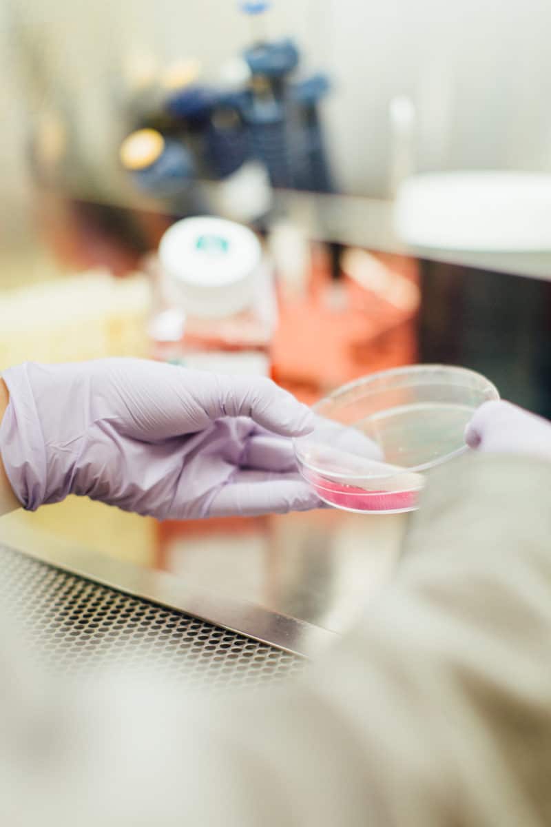 scientist holding petri dish